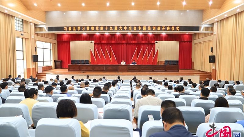 教师资格证培训机构排名背后的考量因素